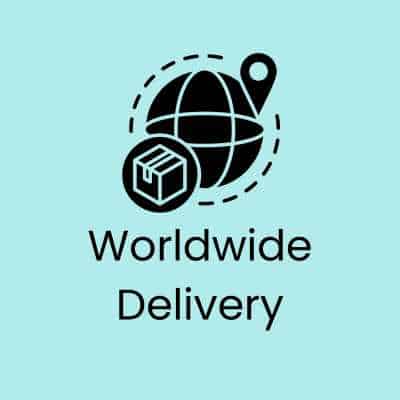 worldwide delivery icon